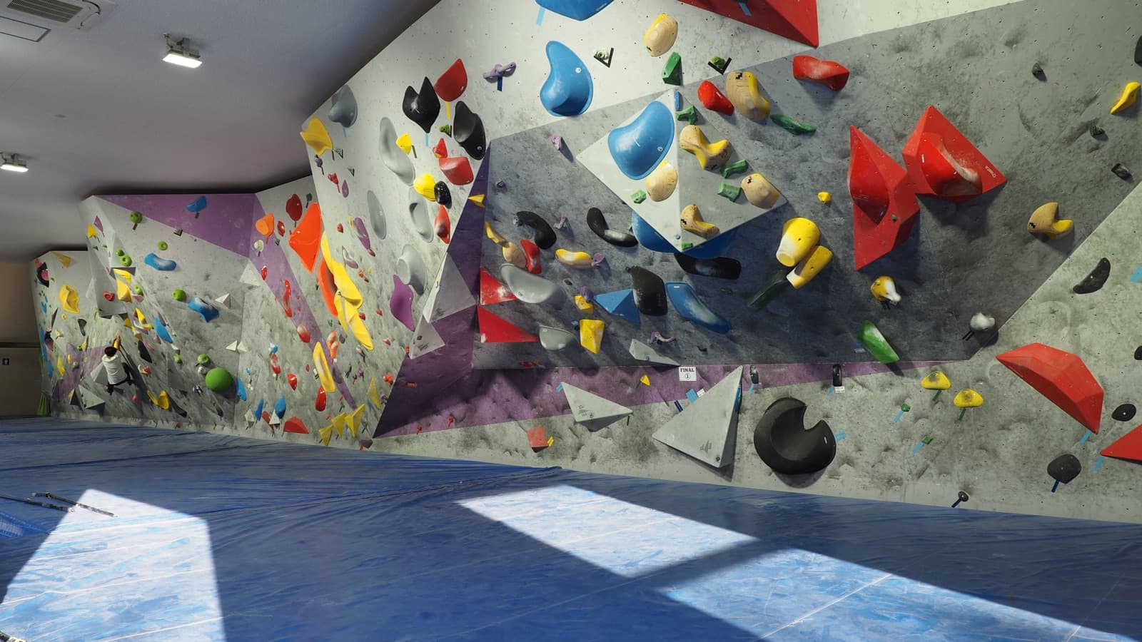 An indoor climbing wall covered in colourful holds.