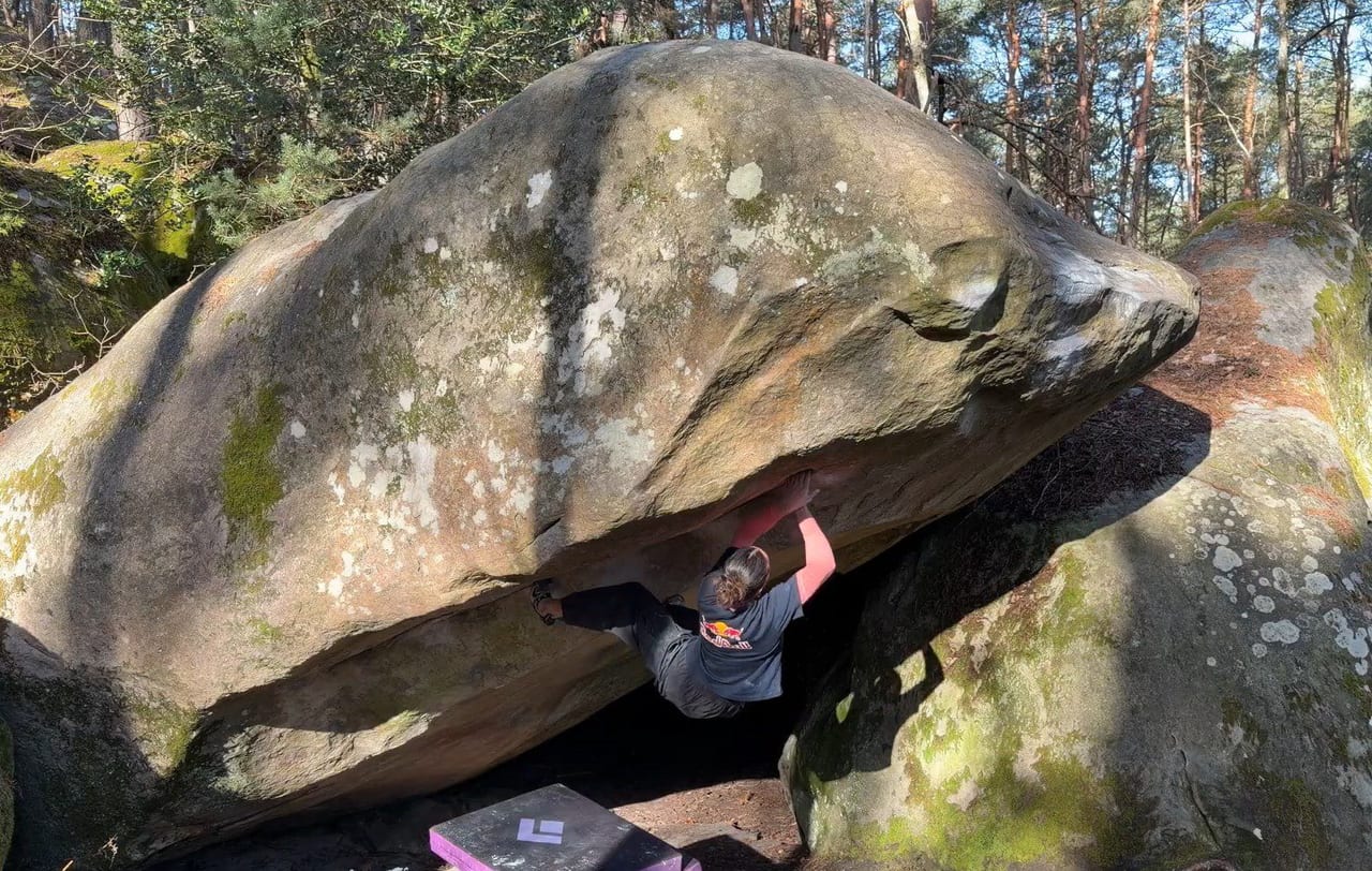 Oriane Bertone bouldering in Fontainebleau forest on V13
