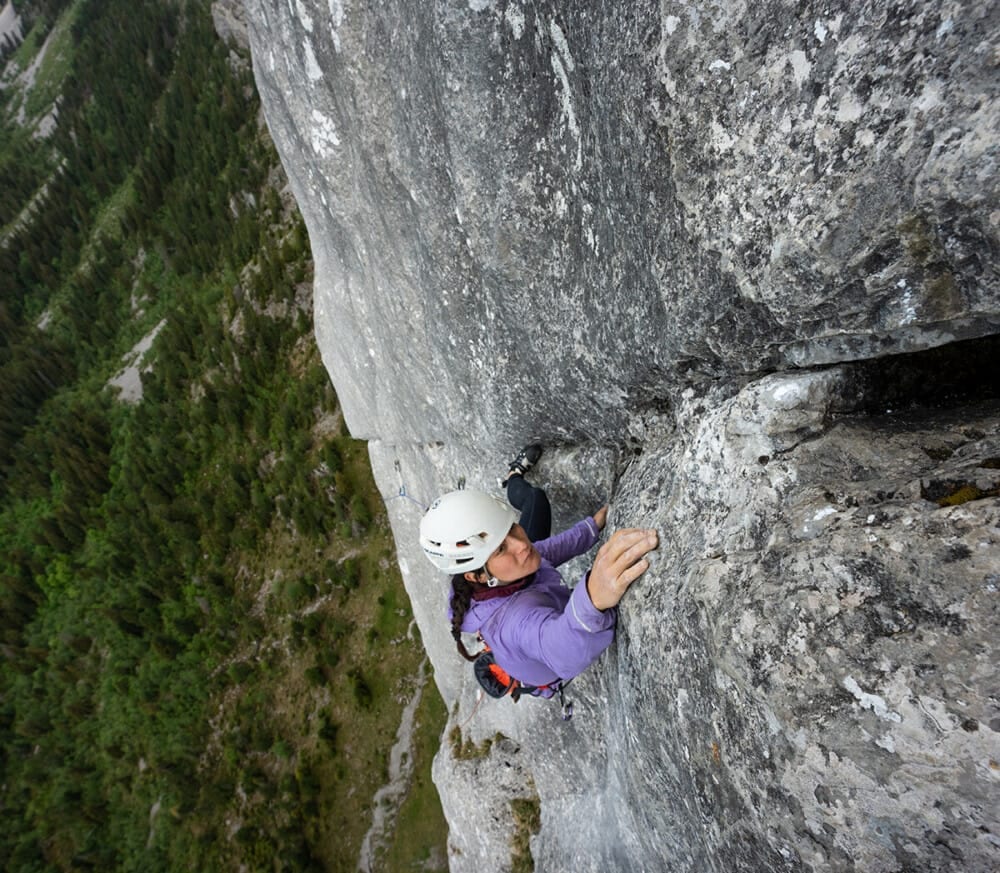 Edition #30: Back on the Wall