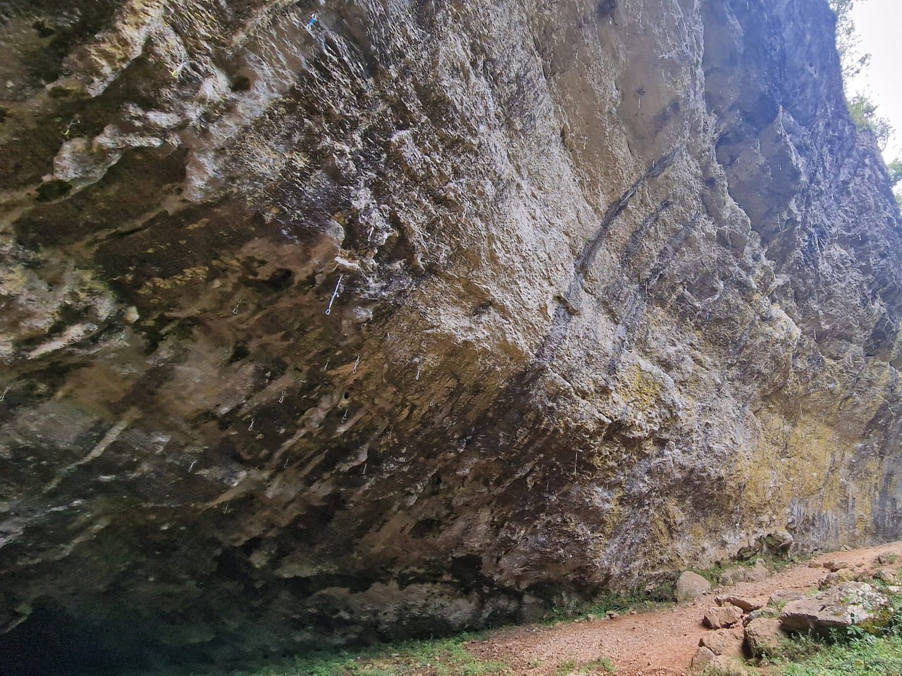 Edition #31: At the Edge of What's Possible