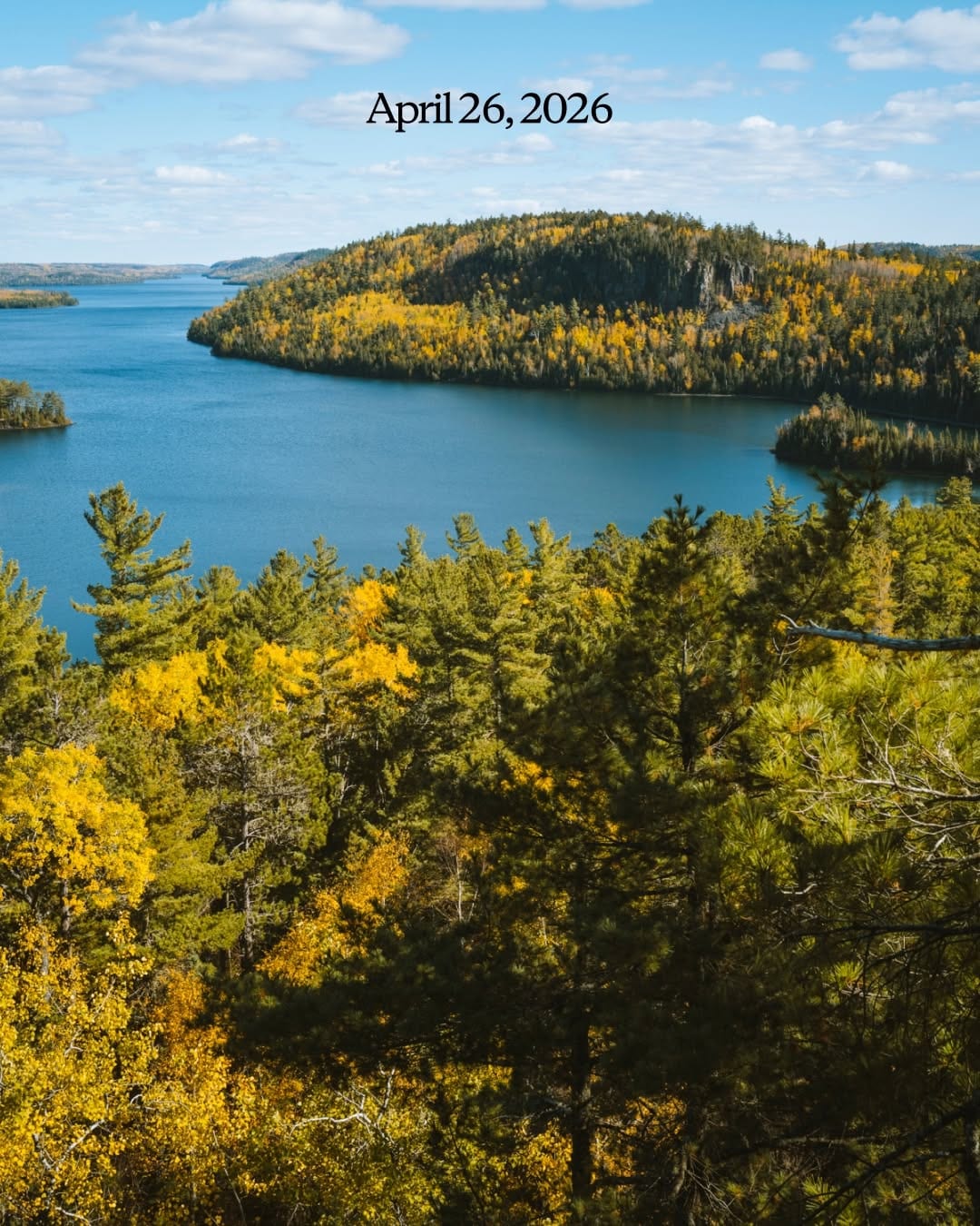 Forested shoreline and still water in the Boundary Waters Canoe Area Wilderness